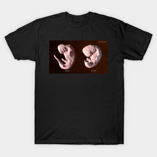 Embryos T-Shirt by Smart Biology